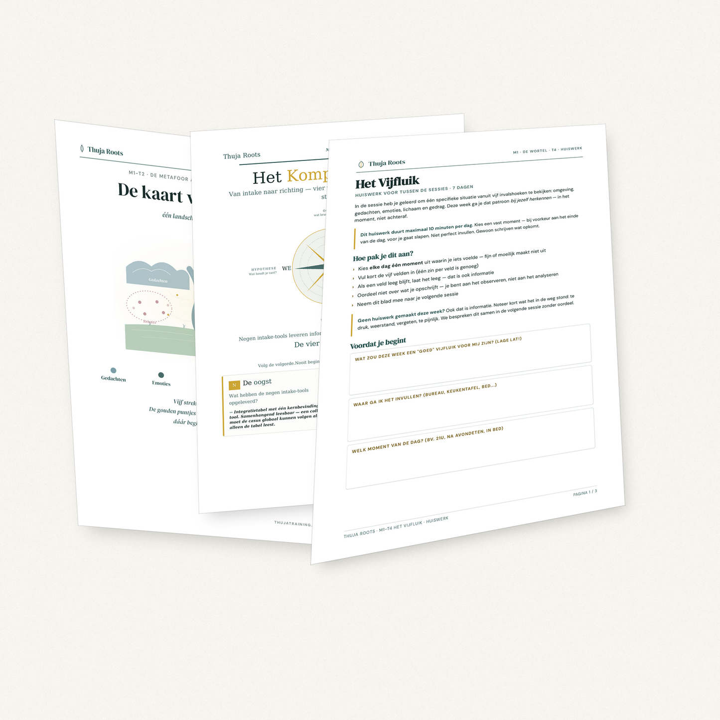 M1 · De Wortel - Intake & Casusconceptualisatie