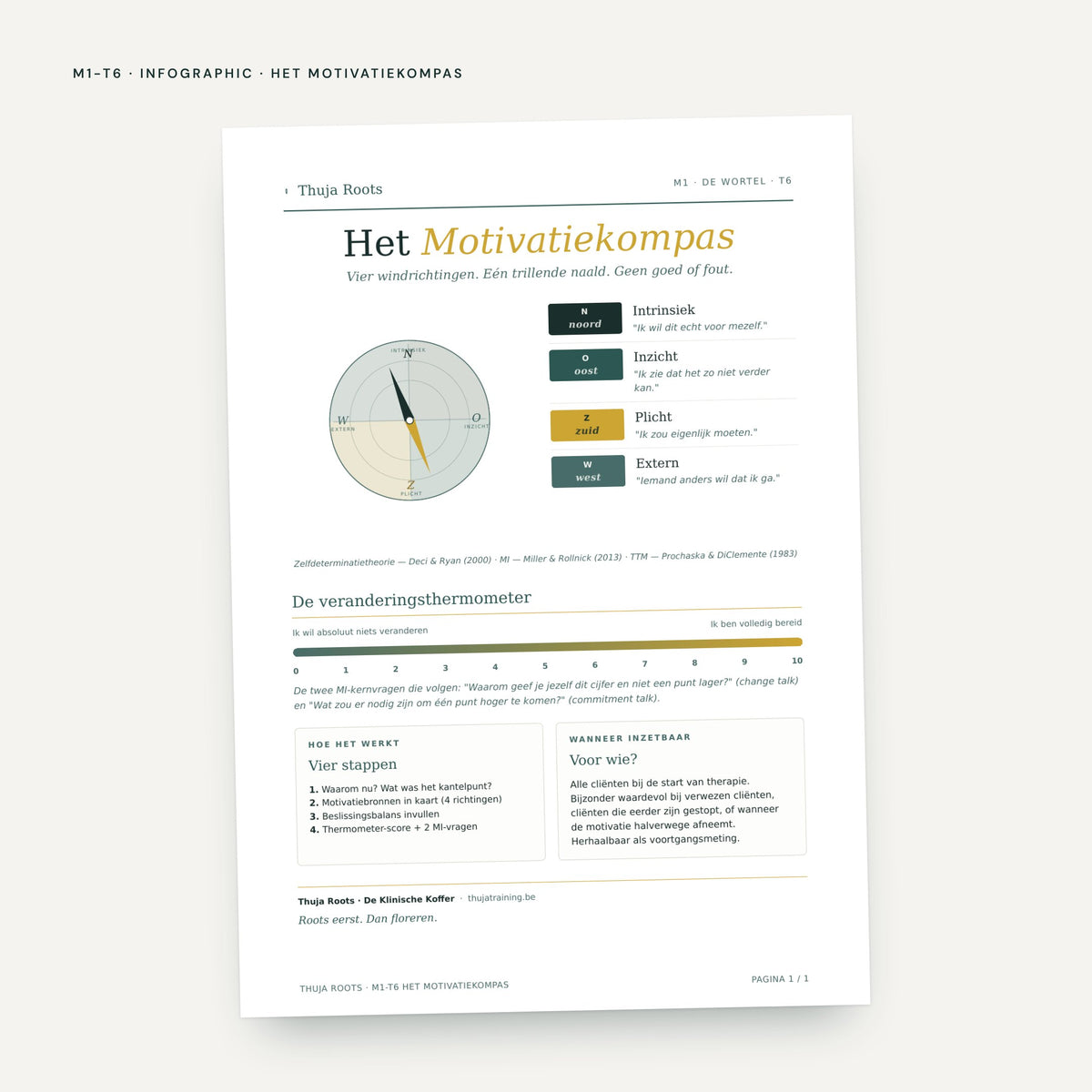 Module M1 De Wortel: voorbeeldpagina, tool 6