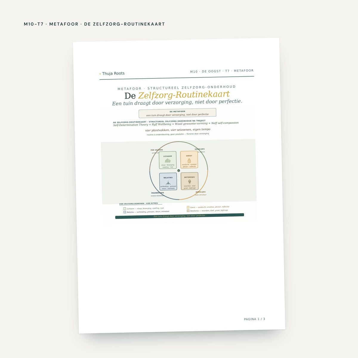 Module M10 De Oogst: voorbeeldpagina, tool 7