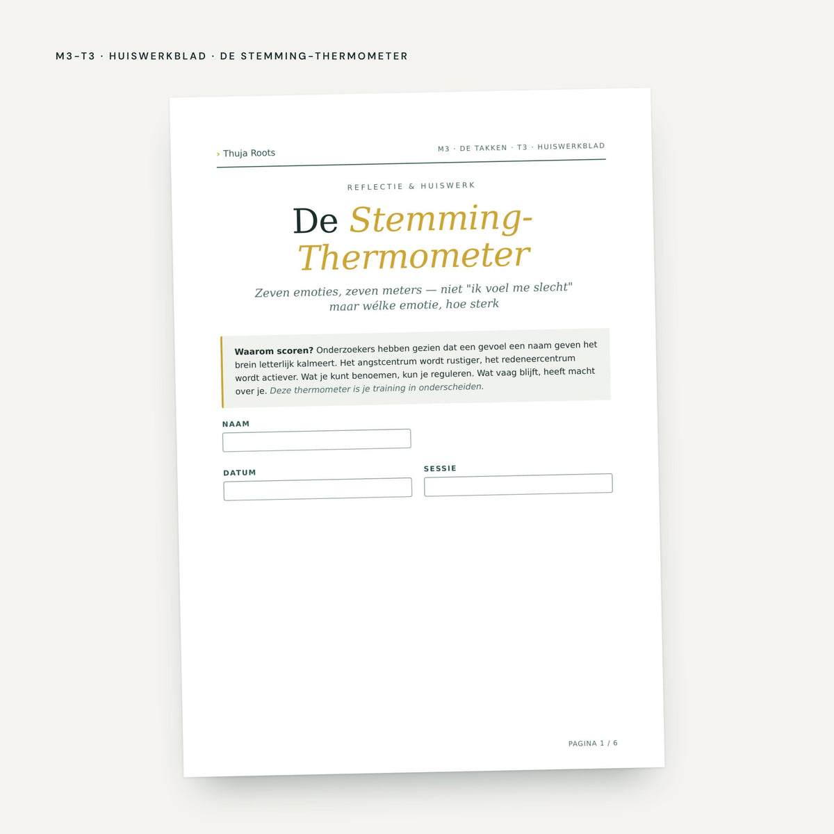 Module M3 De Takken: voorbeeldpagina, tool 3