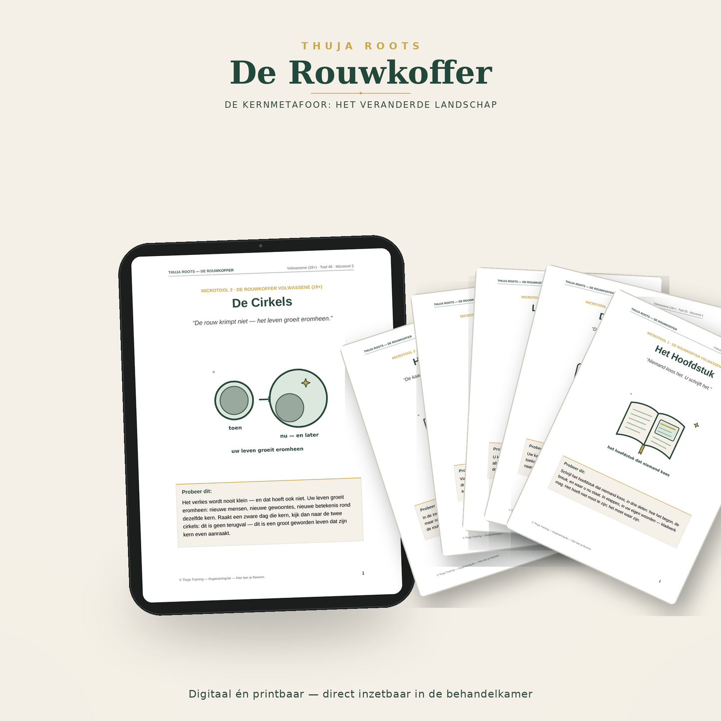 De Rouwkoffer Volwassene - 60 tools