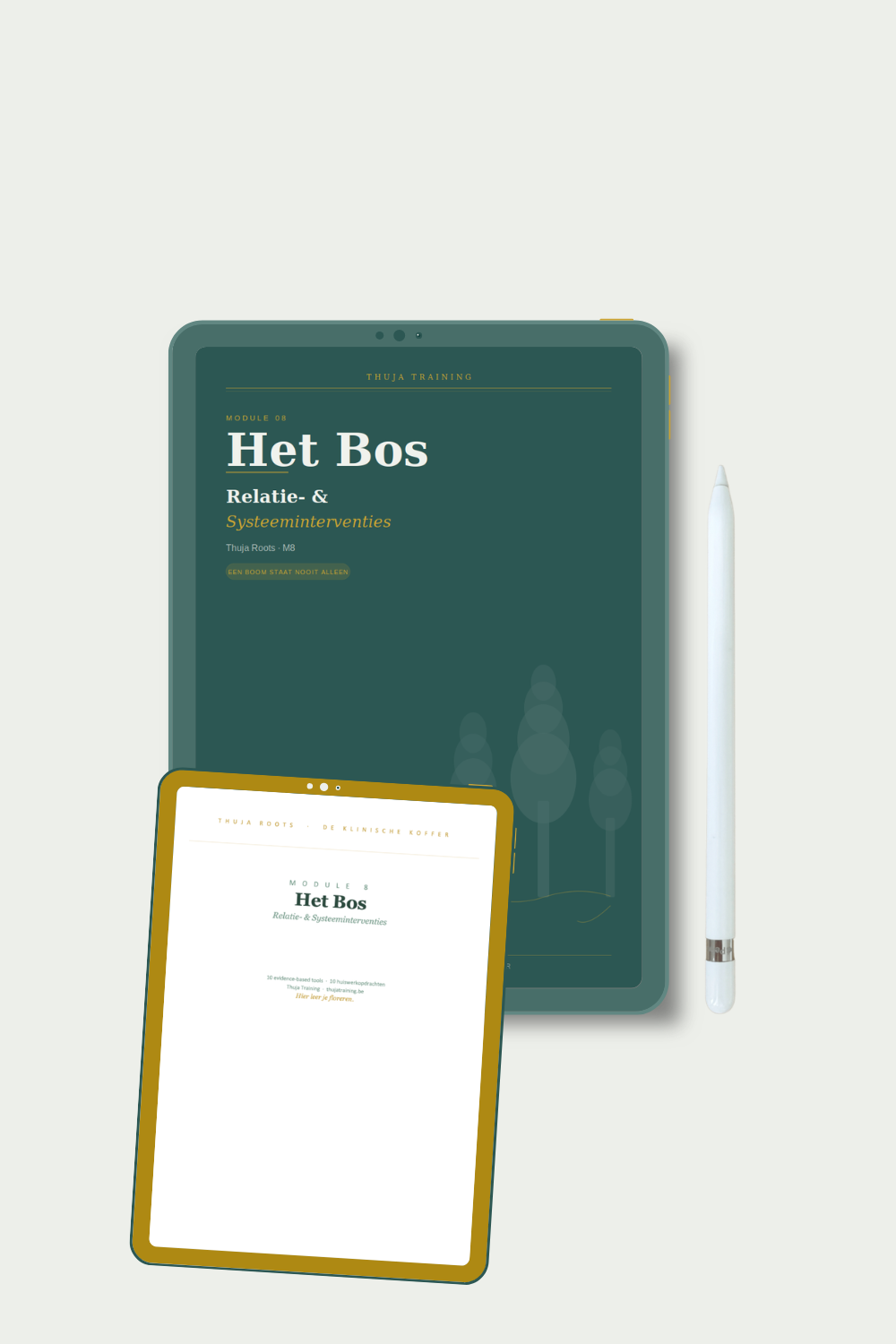 M8 Het Bos — 10 tools systeeminterventies