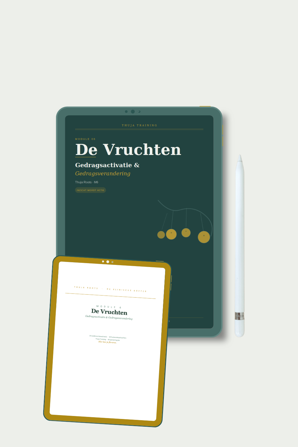 M6 De Vruchten — 10 tools gedragsactivatie