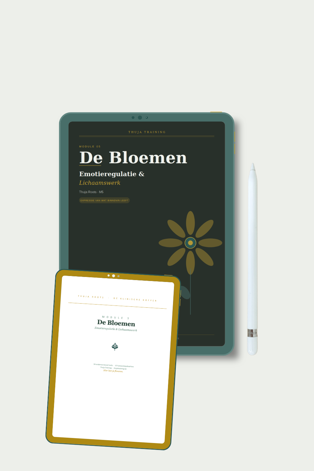 M5 De Bloemen — 10 tools emotieregulatie