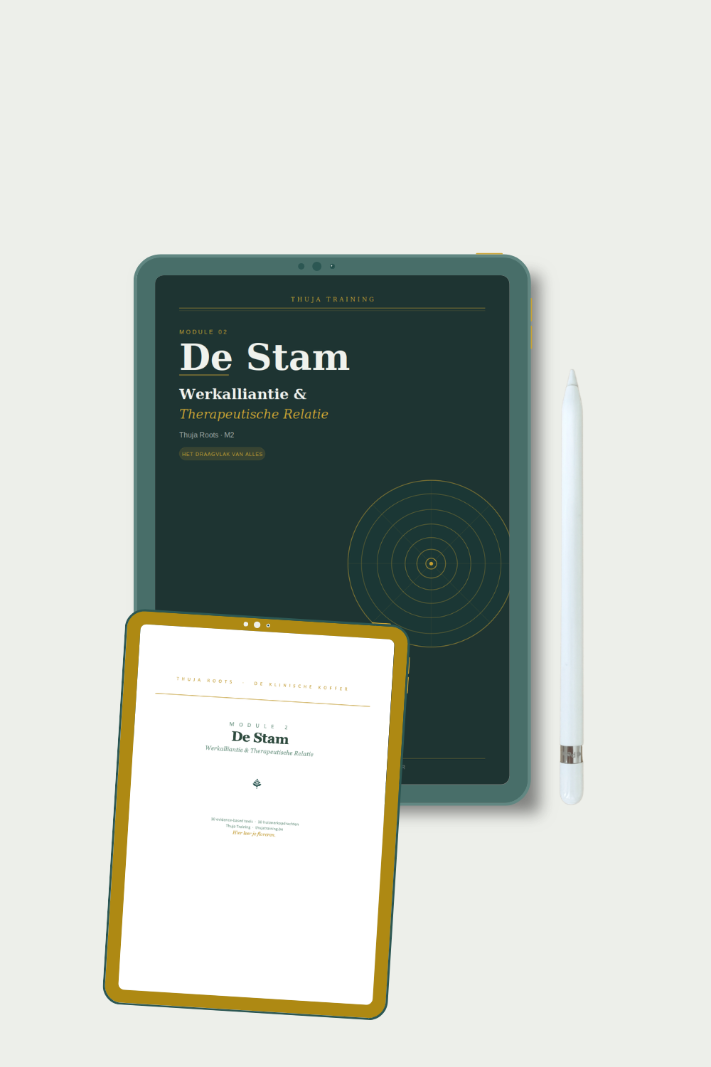 M2 De Stam — 10 tools werkalliantie