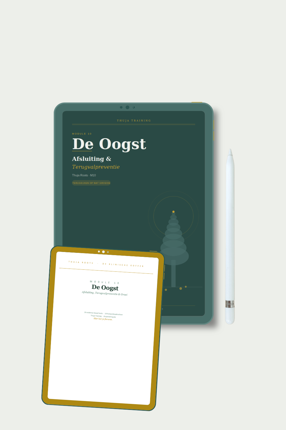 M10 De Oogst — 10 tools afsluiting en groei