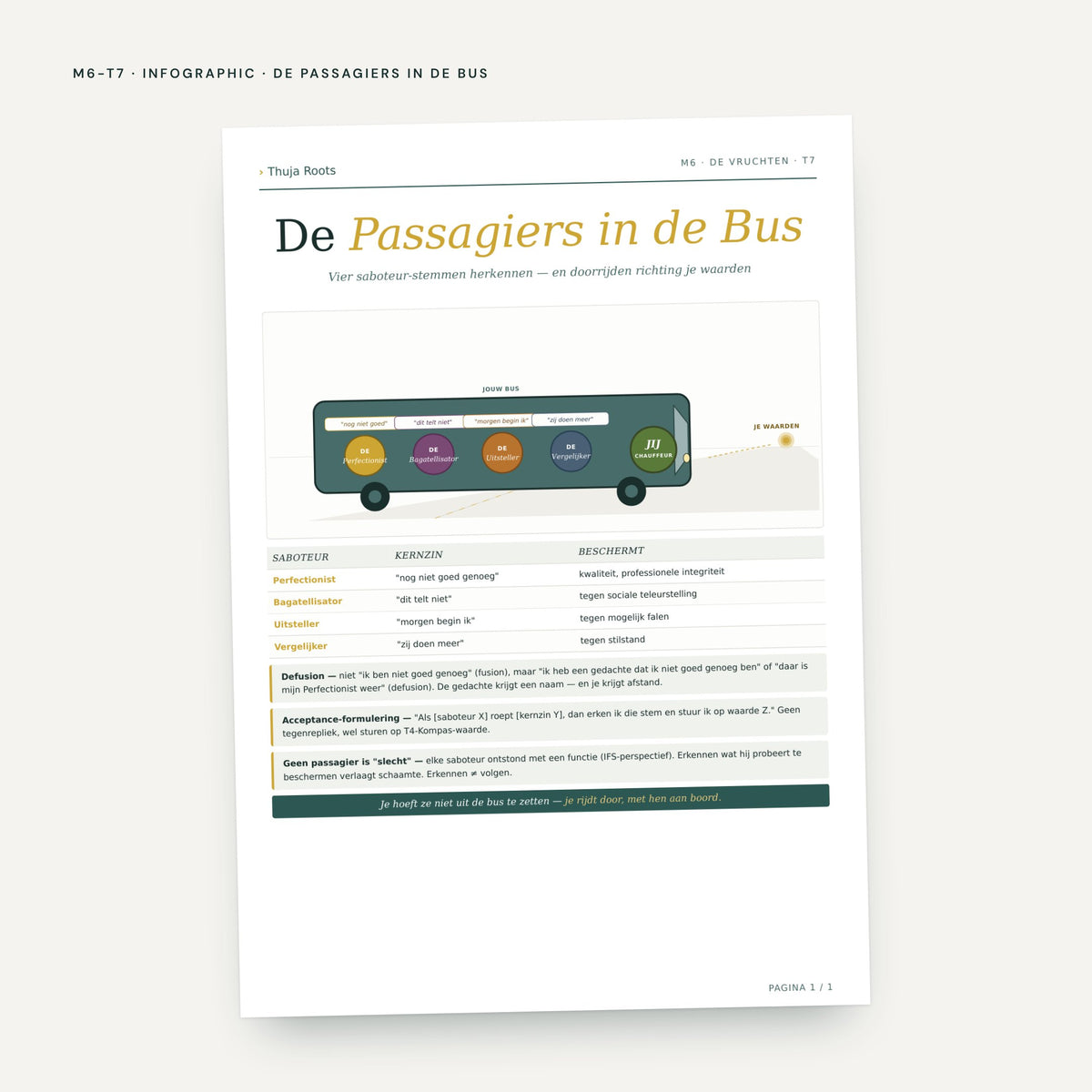 De Klinische Koffer: voorbeeldpagina, werkblad uit module M6, tool 7