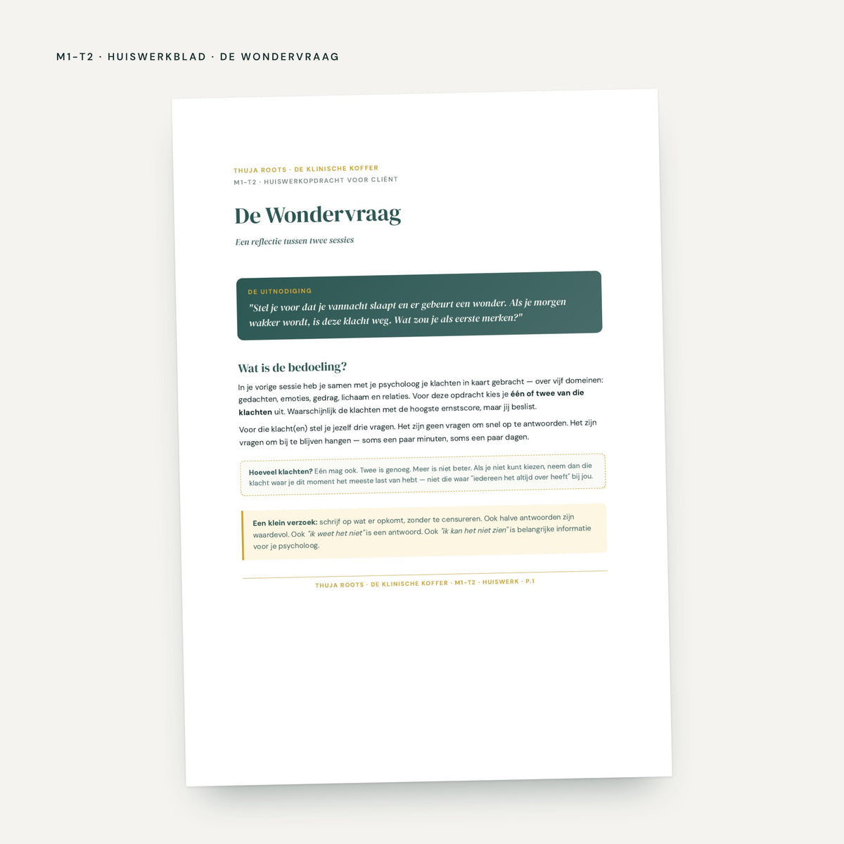 Module M1 De Wortel: voorbeeldpagina, tool 2