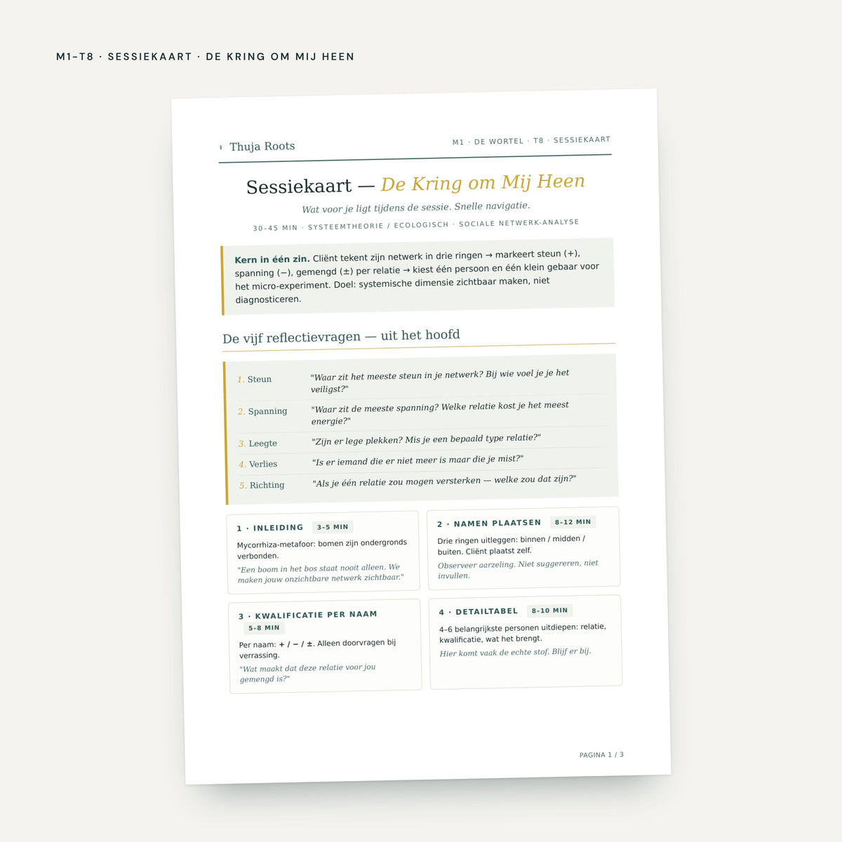 Module M1 De Wortel: voorbeeldpagina, tool 8