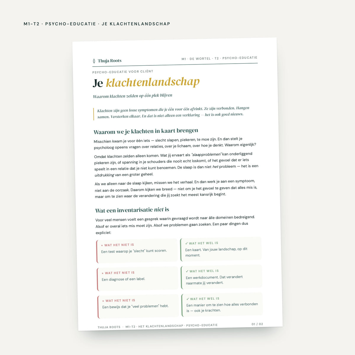 Module M1 De Wortel: voorbeeldpagina, tool 2