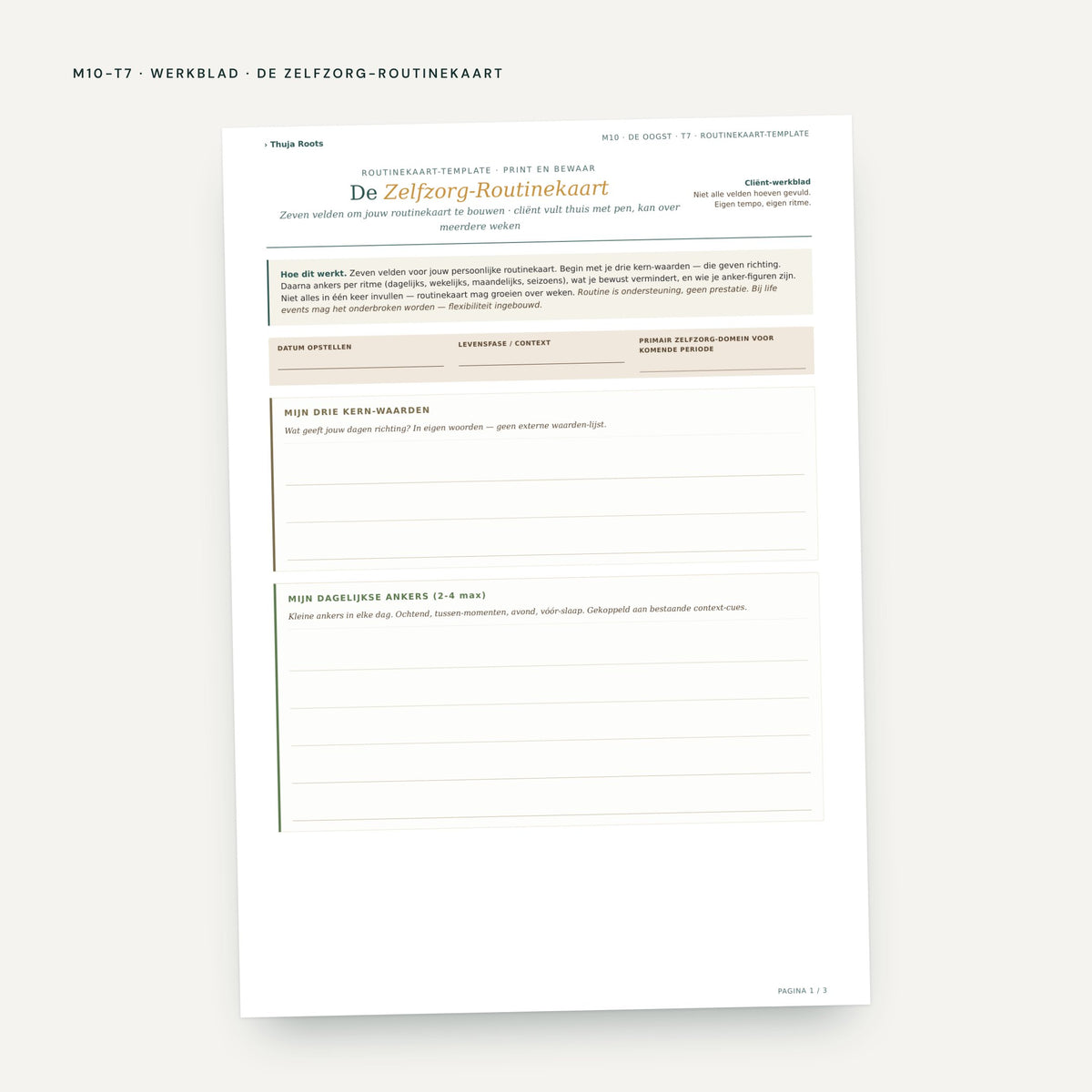 Module M10 De Oogst: voorbeeldpagina, tool 7