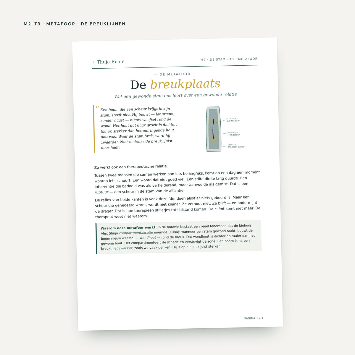 Module M2 De Stam: voorbeeldpagina, tool 3