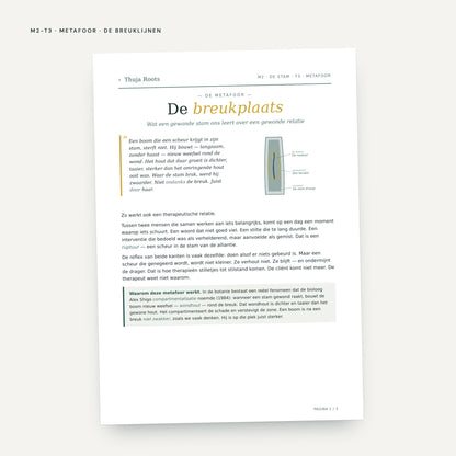 Module M2 De Stam: voorbeeldpagina, tool 3