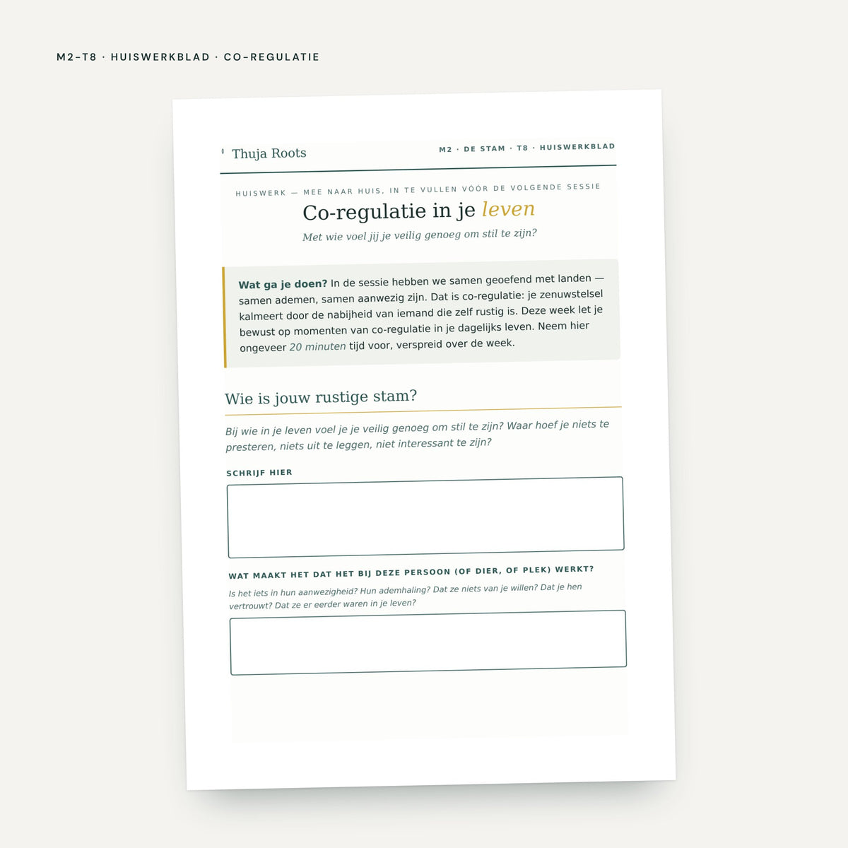 Module M2 De Stam: voorbeeldpagina, tool 8