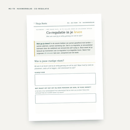 Module M2 De Stam: voorbeeldpagina, tool 8