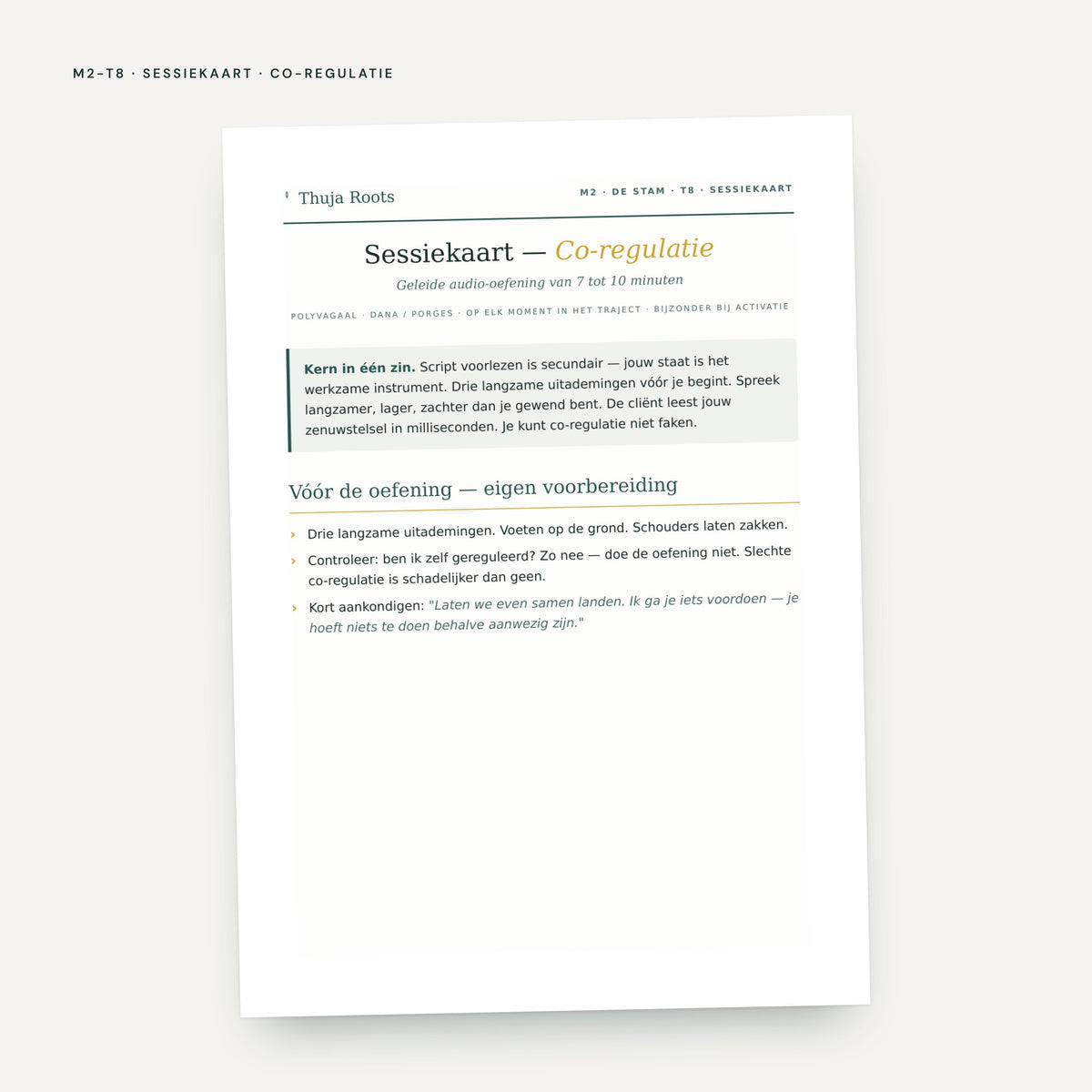 Module M2 De Stam: voorbeeldpagina, tool 8