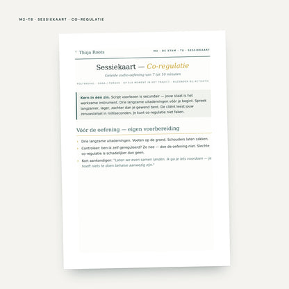 Module M2 De Stam: voorbeeldpagina, tool 8