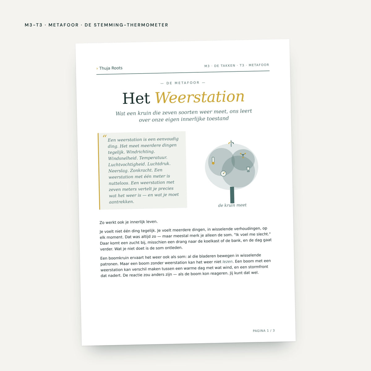 Module M3 De Takken: voorbeeldpagina, tool 3
