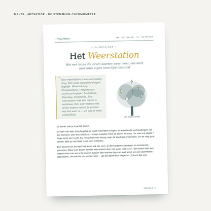 Module M3 De Takken: voorbeeldpagina, tool 3