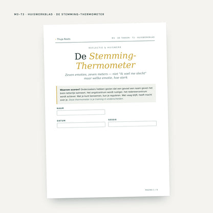 Module M3 De Takken: voorbeeldpagina, tool 3