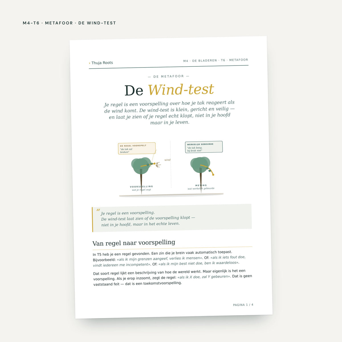 Module M4 De Bladeren: voorbeeldpagina, tool 6