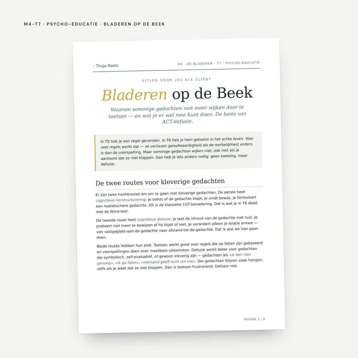 Module M4 De Bladeren: voorbeeldpagina, tool 7
