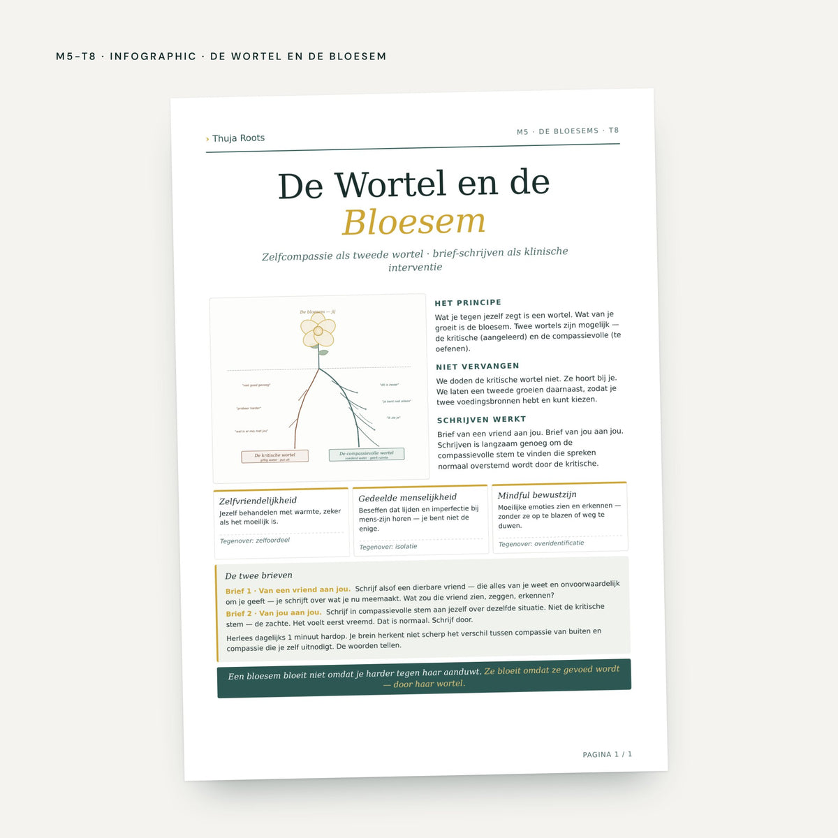 Module M5 De Bloemen: voorbeeldpagina, tool 8