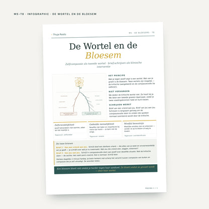 Module M5 De Bloemen: voorbeeldpagina, tool 8