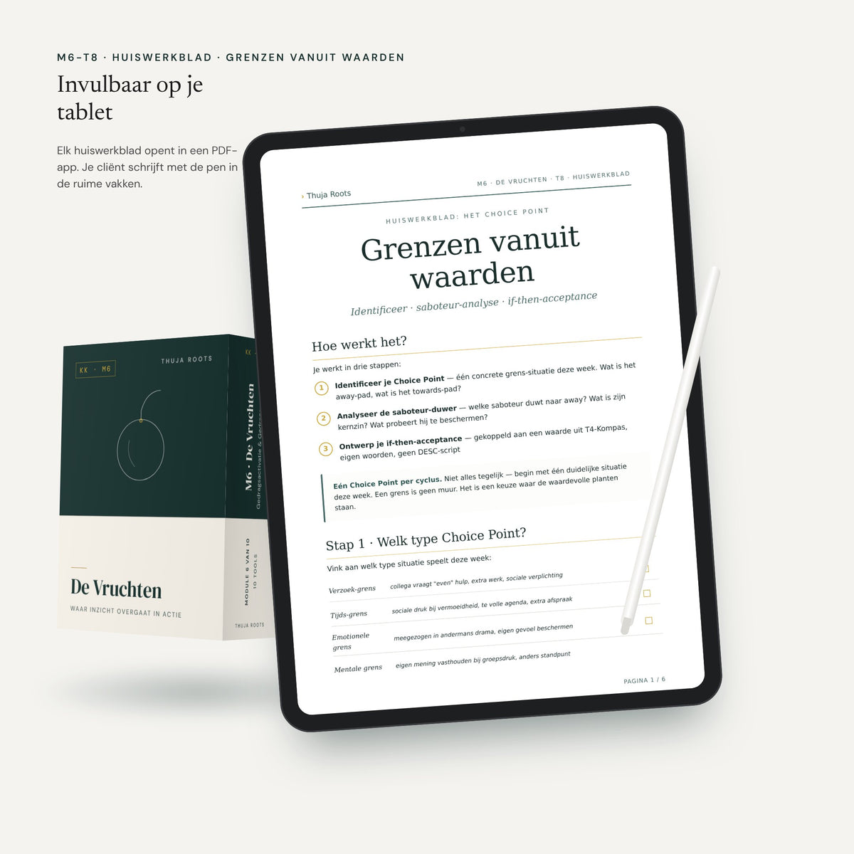 Module M6 De Vruchten: werkblad op een tablet