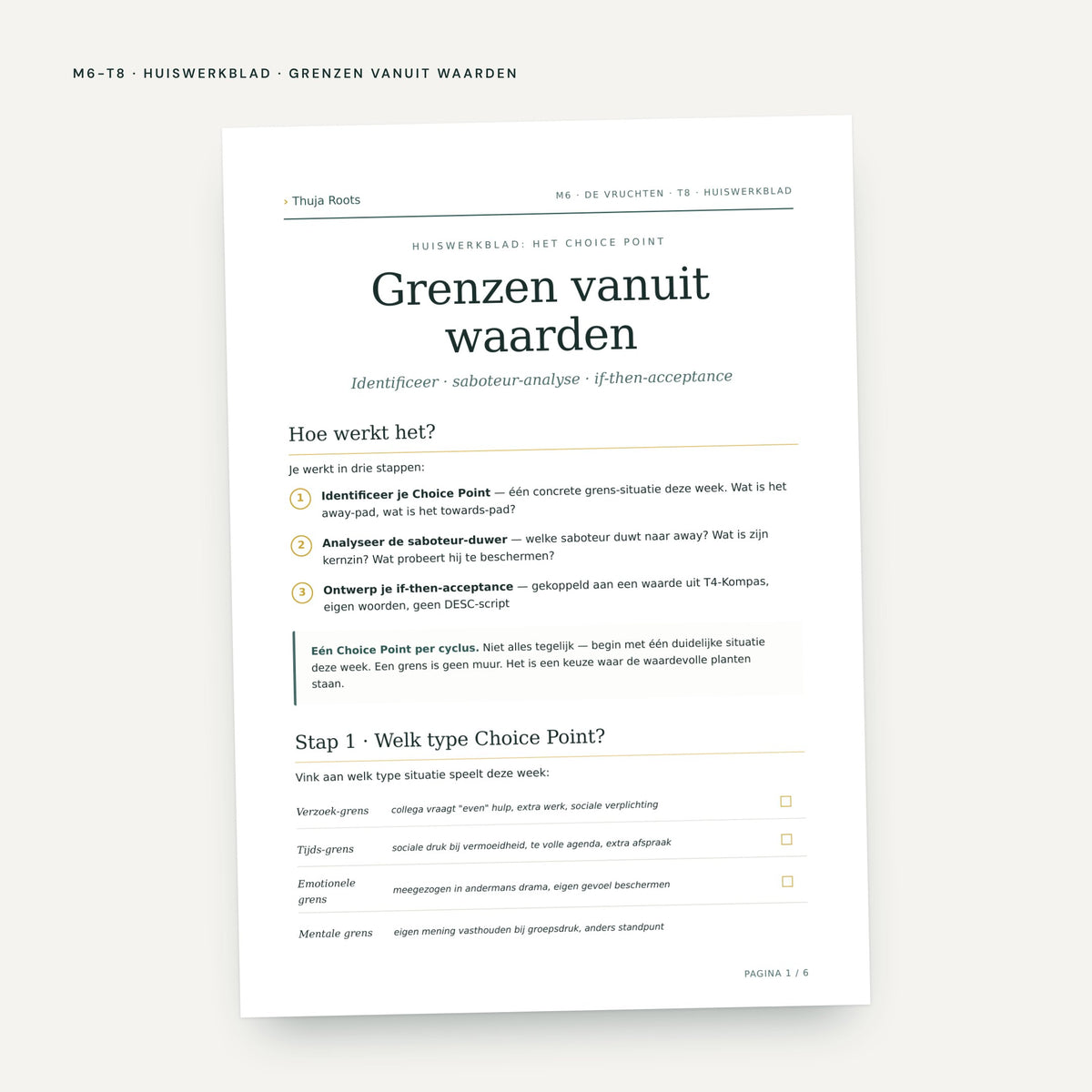 Module M6 De Vruchten: voorbeeldpagina, tool 8