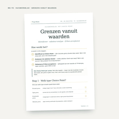 Module M6 De Vruchten: voorbeeldpagina, tool 8
