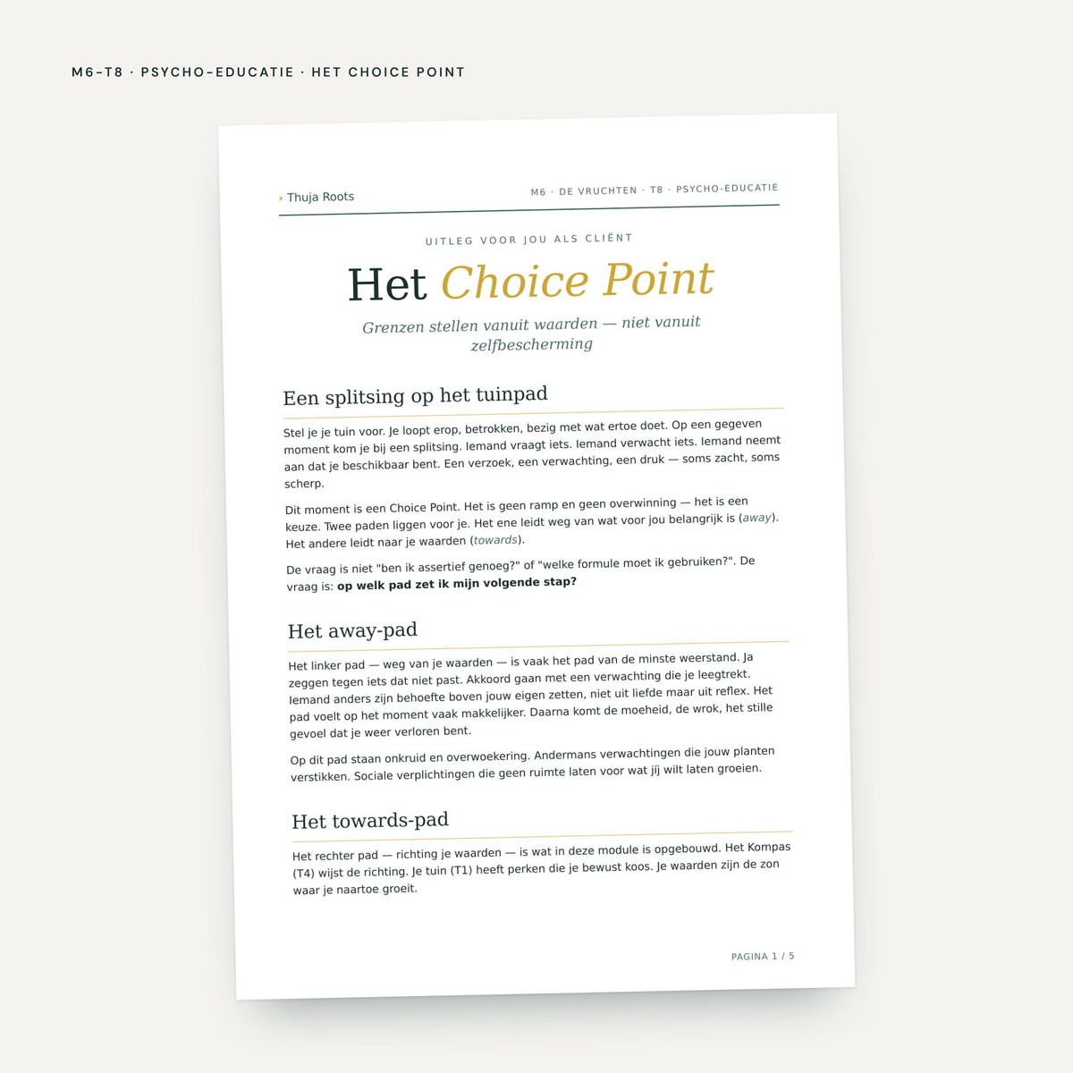 Module M6 De Vruchten: voorbeeldpagina, tool 8