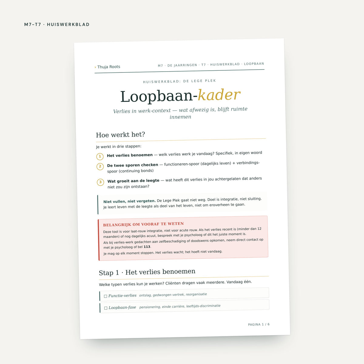 Module M7 De Jaarringen: voorbeeldpagina, tool 7