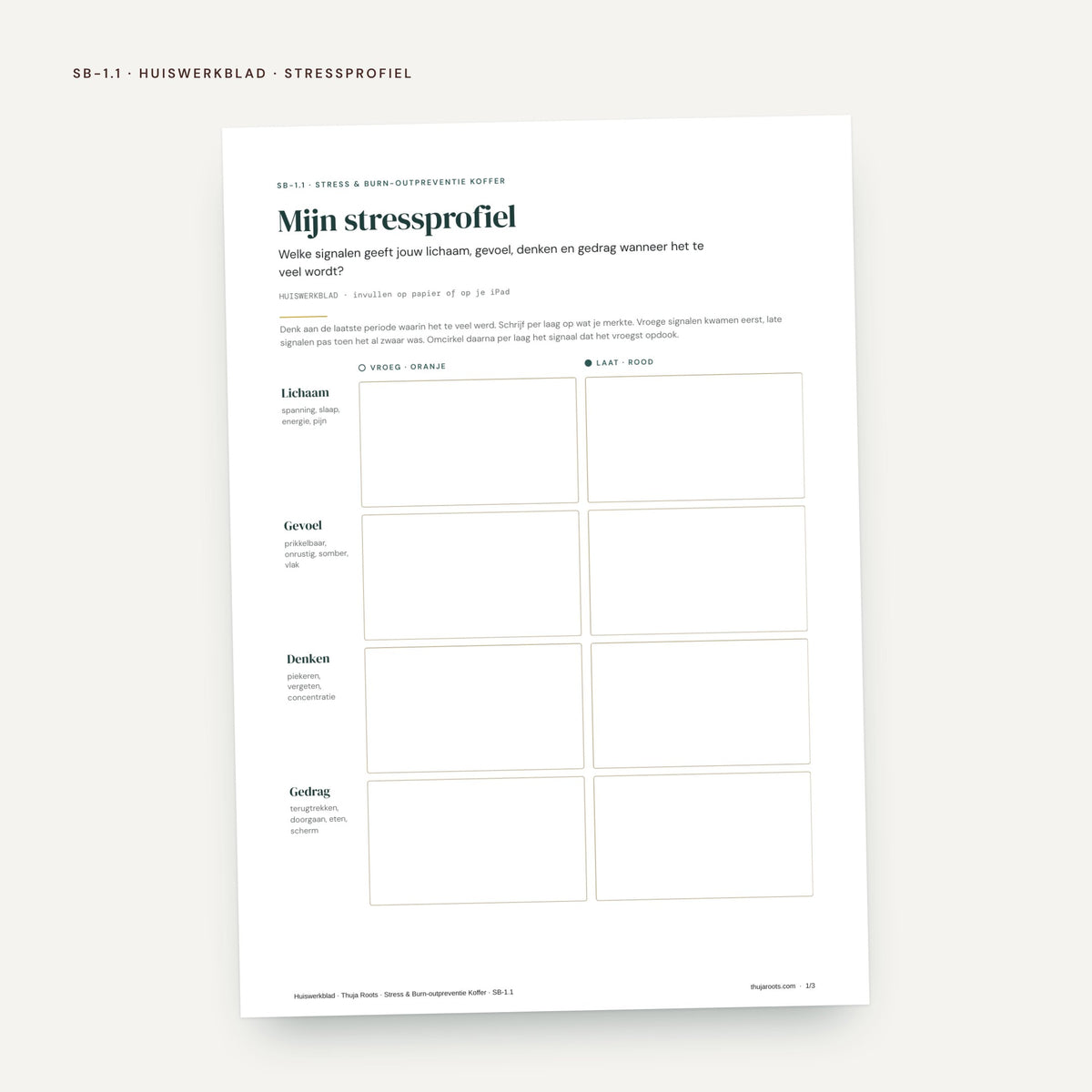 De Stress & Burn-outpreventie Koffer: voorbeeldpagina, werkblad SB 1.1 Stressprofiel