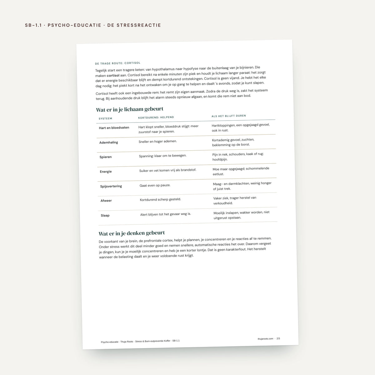 De Stress & Burn-outpreventie Koffer: voorbeeldpagina, werkblad SB 1.1 Stressprofiel