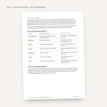 De Stress & Burn-outpreventie Koffer: voorbeeldpagina, werkblad SB 1.1 Stressprofiel