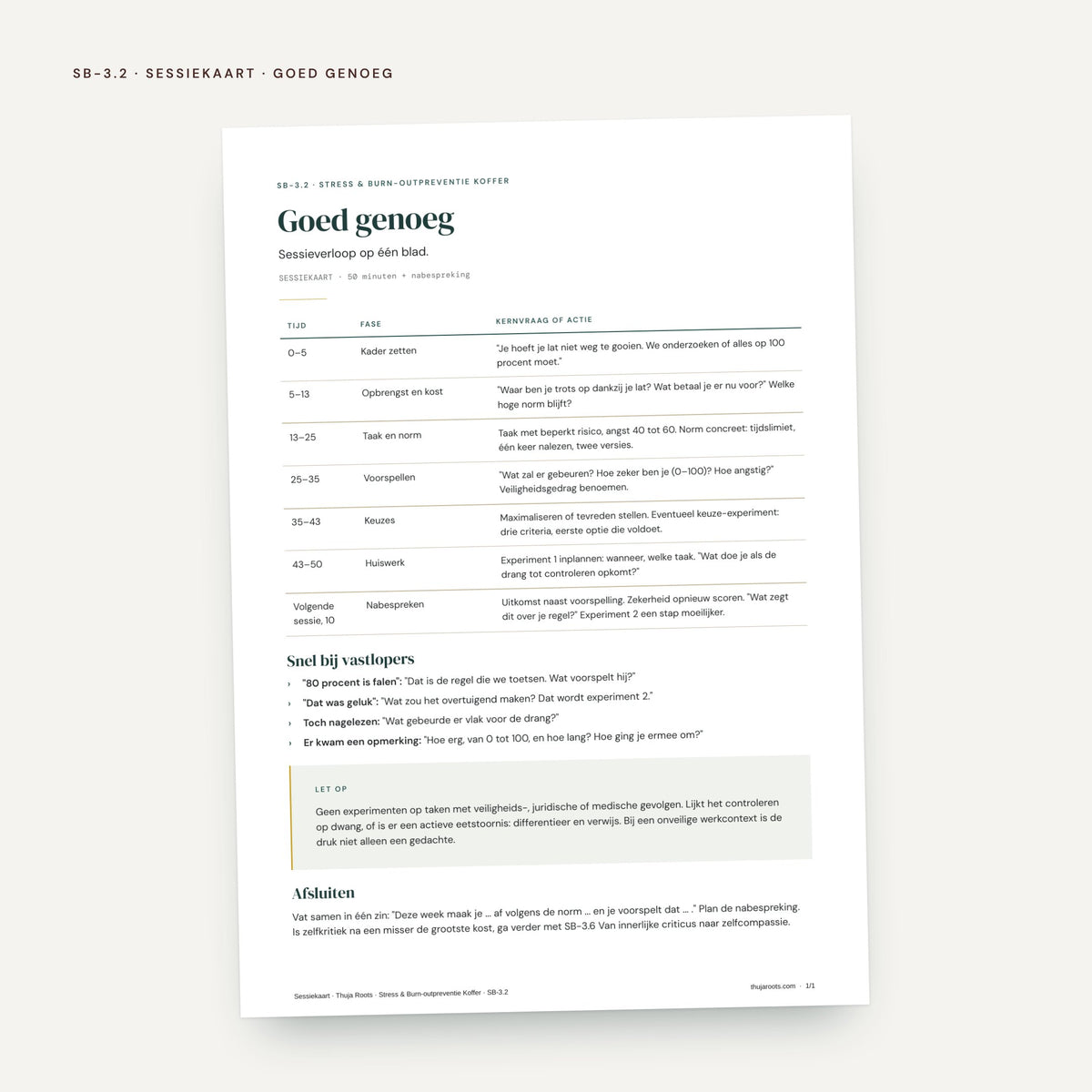 De Stress & Burn-outpreventie Koffer: voorbeeldpagina, werkblad SB 3.2 Goed genoeg