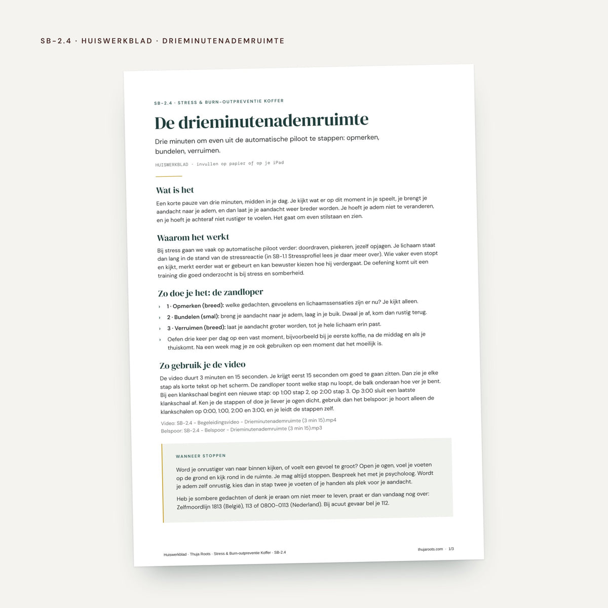 De Stress & Burn-outpreventie Koffer: voorbeeldpagina, werkblad SB 2.4 Drieminutenademruimte