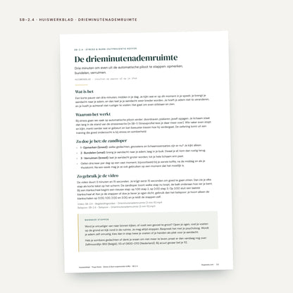 De Stress & Burn-outpreventie Koffer: voorbeeldpagina, werkblad SB 2.4 Drieminutenademruimte